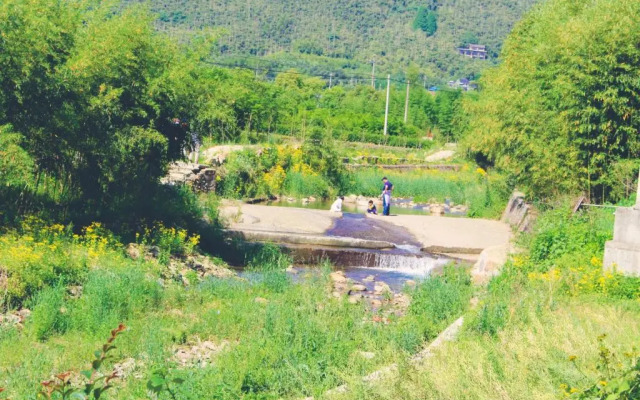Moganshan Mountain Farmhouse