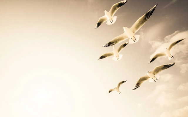 DOCK INN Hostel Warnemünde