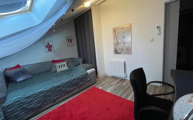 Magnifique grand appartement