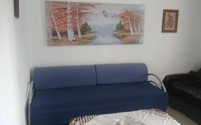 Apartment for relaxing and for health