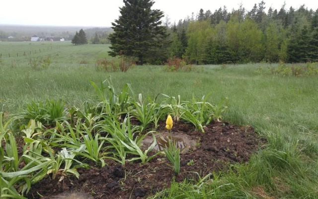 Windsbreath Celebrations and Retreats