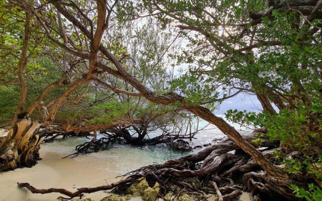 Fehendhoo Stay