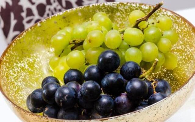 Magellan Deluxe Four