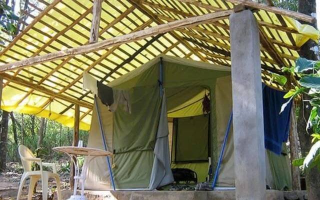 Rainforest Retreat