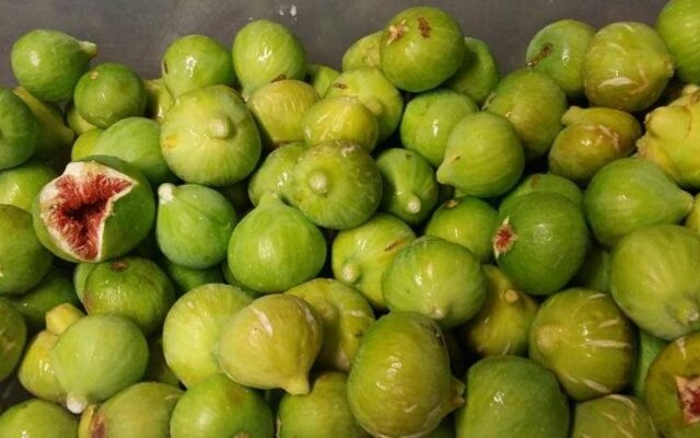 Agriturismo Mirasole