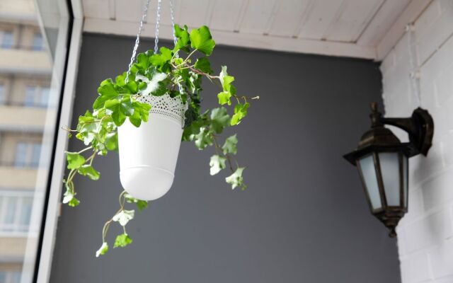 Город Рек Новые Уютные Апартаменты