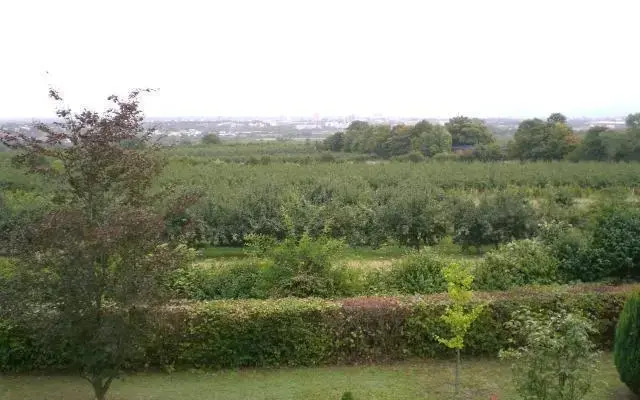 Weitblick über Mainz