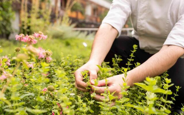 Theiner's Garten Das Biorefugium