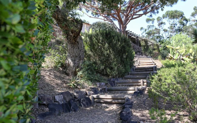 Ночлег и завтрак (B&B) Monte da Vilarinha