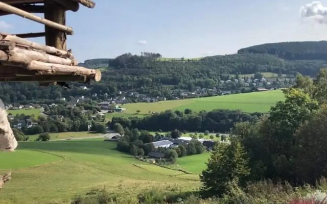 Spacious Holiday Home Near Willingen