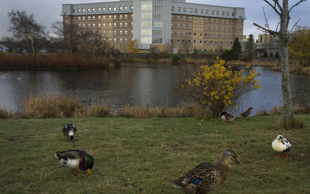 Memorial University
