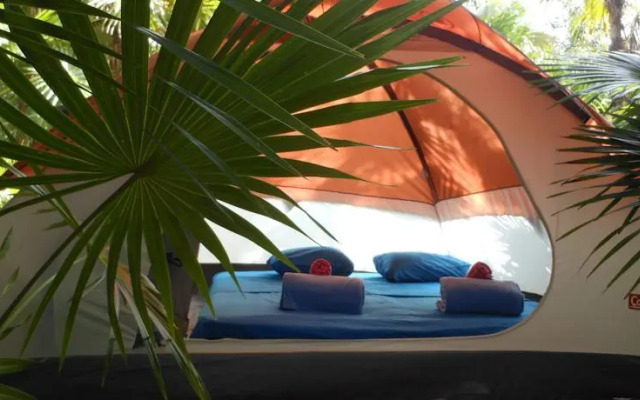 Turquesa Tulum Jungle Camping