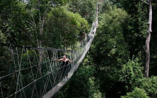 Mutiara Taman Negara