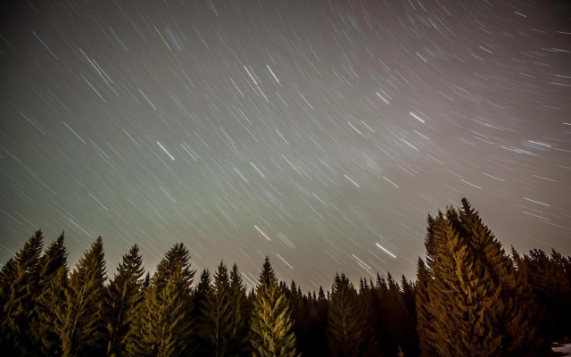 Art Gallery Apartment in Silver Mountain