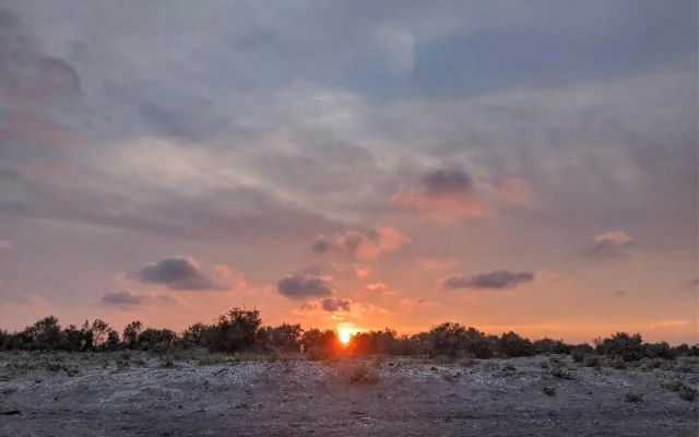 Hotel Plutitor Egreta 1