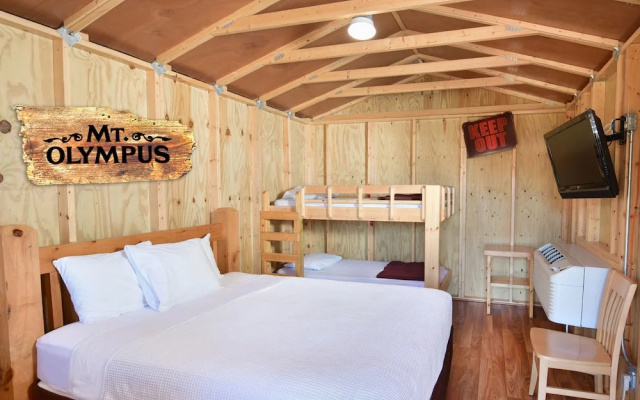 Mt. Olympus Water & Theme Park Resort