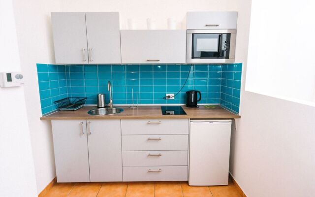 Dfive Apartments - Vizsla