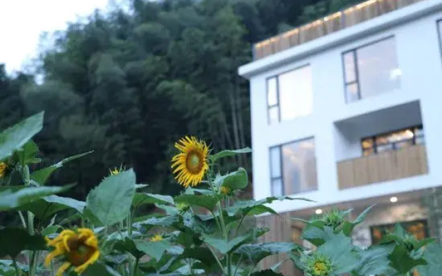 Xuantong Homestay