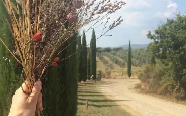 Podere Campovecchio