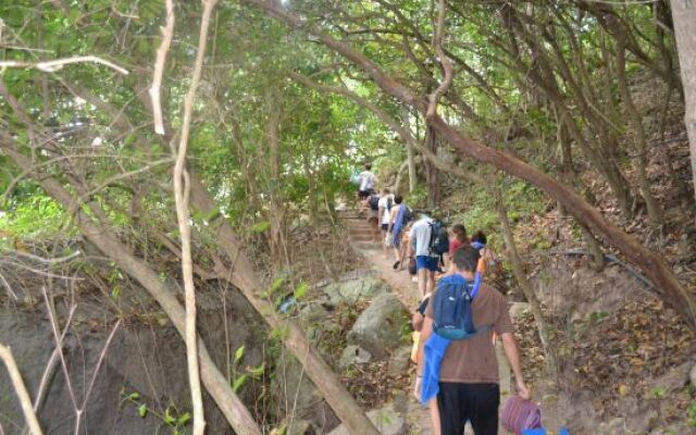 The Dearly Koh Tao Hostel