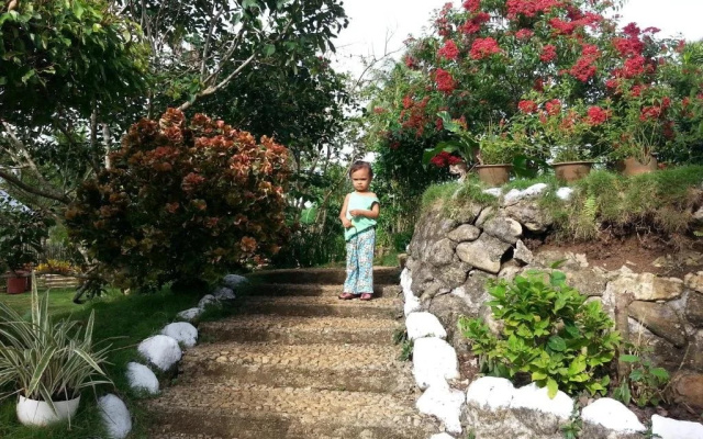 Villa del Carmen Bed and Breakfast