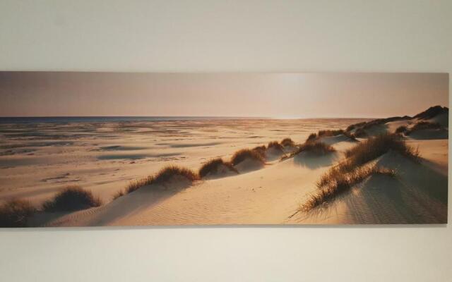 De Schelp 37