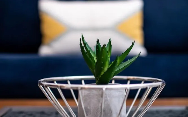 Stylish Studio Apartment-Sparkle Towers