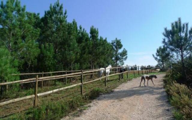 TEIMA, Alentejo SW