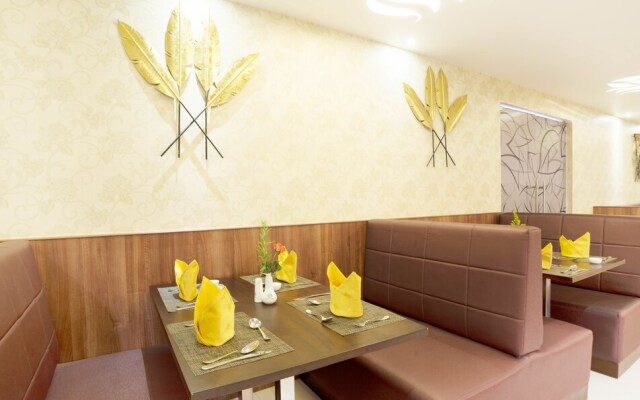 Treebo Trend Olive Tree