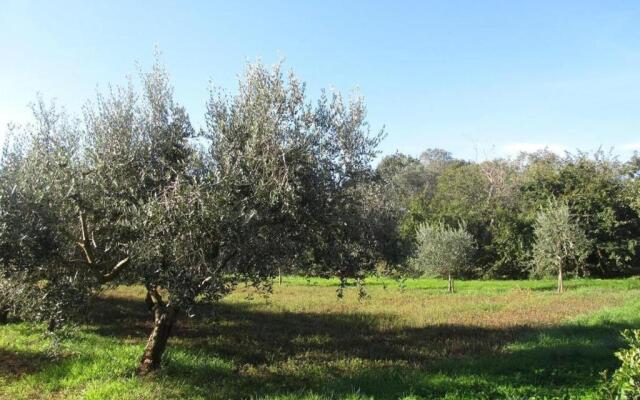 Apartment Valentina for 8 People, Ideal for Families