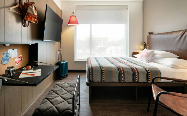 Moxy Austin - University