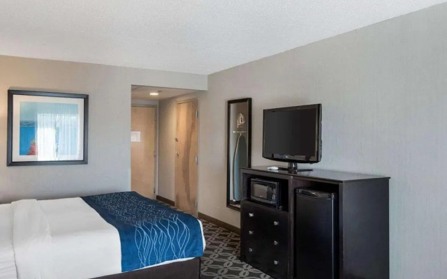 Comfort Inn Rehoboth Beach