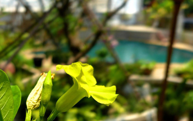 Yi's Garden Villa