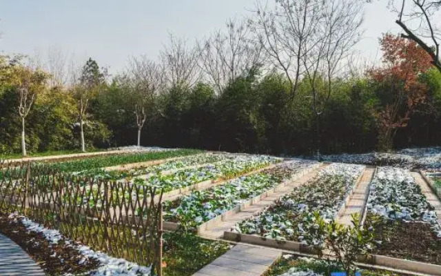 Liyang Tianmu Lake ANUE HOTEL