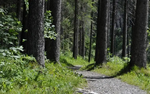 KräuterFewo Alexandra