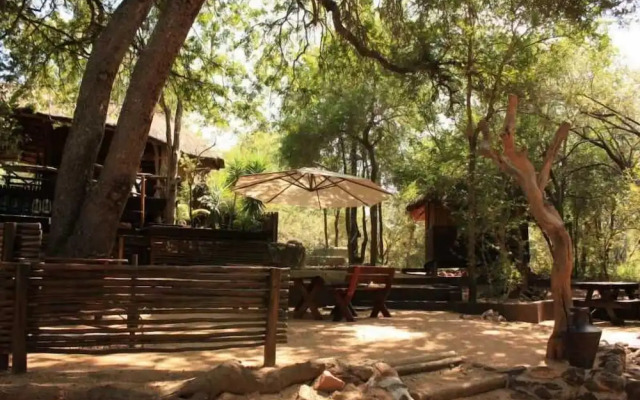 Offbeat Safaris