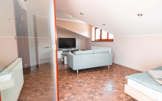 POINT flat, beautiful view from terrace to Prague Castle