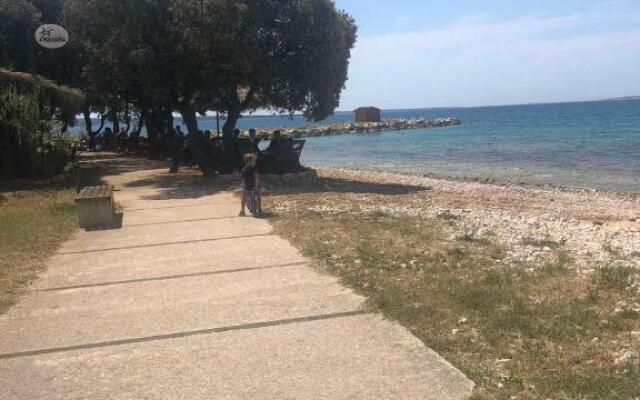 Apartment Gajac A7 44