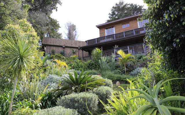 Big Tree House Lodge