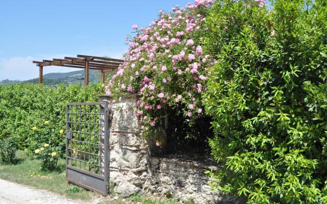 Agriturismo Il Gelso Nero