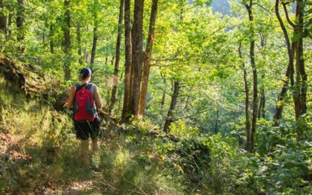 Camping Echo Du Malpas