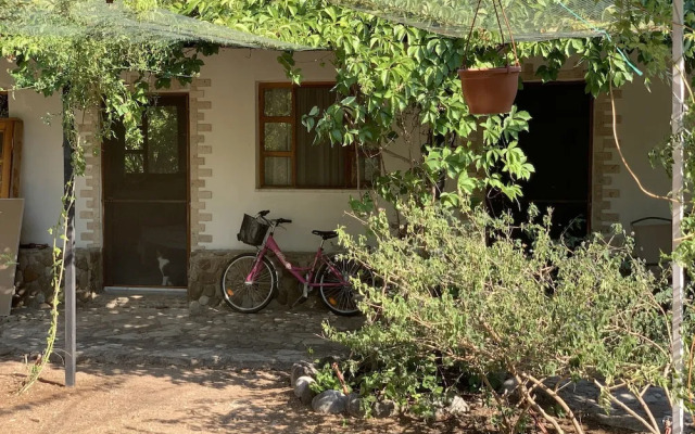 Kekik