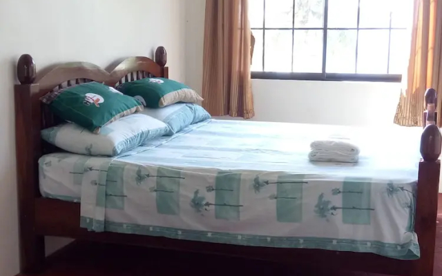 Kiwi's Hidden Resort
