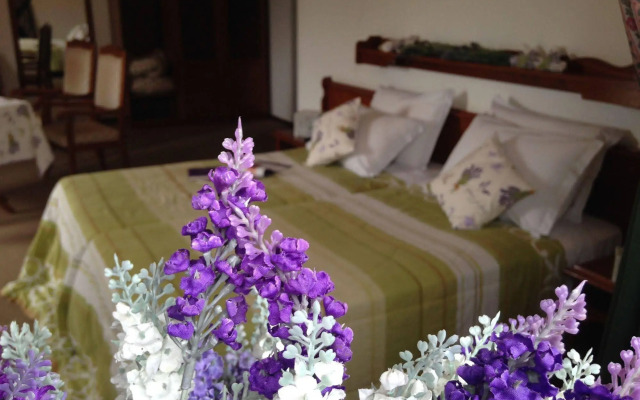 Hotel Bergblick