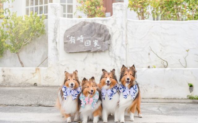 Pet Taitung Homeabout