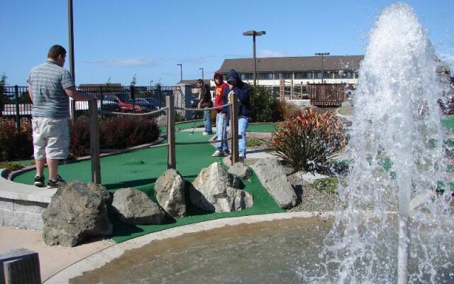 Emerald Dolphin Inn & Mini Golf