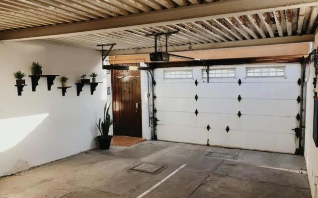 Zebra Studio