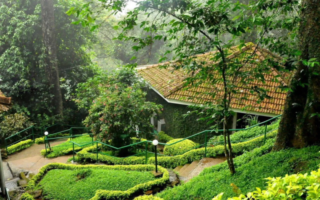 The Tall Trees Munnar