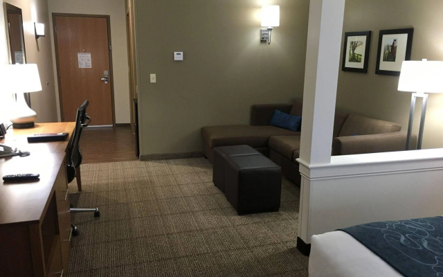 Comfort Suites Hotel and Conference Center