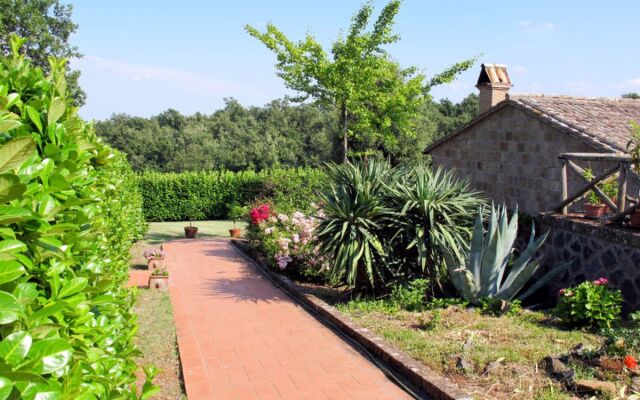 House Boriano Orvieto